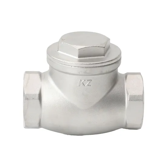 Stainless Steel Swing Type Internal Thread Check Valve Industrial Pipeline Applications